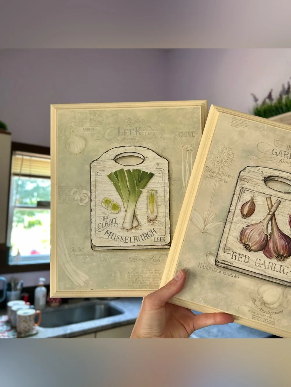 Set of 2 Framed Kitchen Plaques Garlic & Leek On Cuttingboards 8x10 Wall Decor